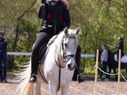 IMG_1597_web